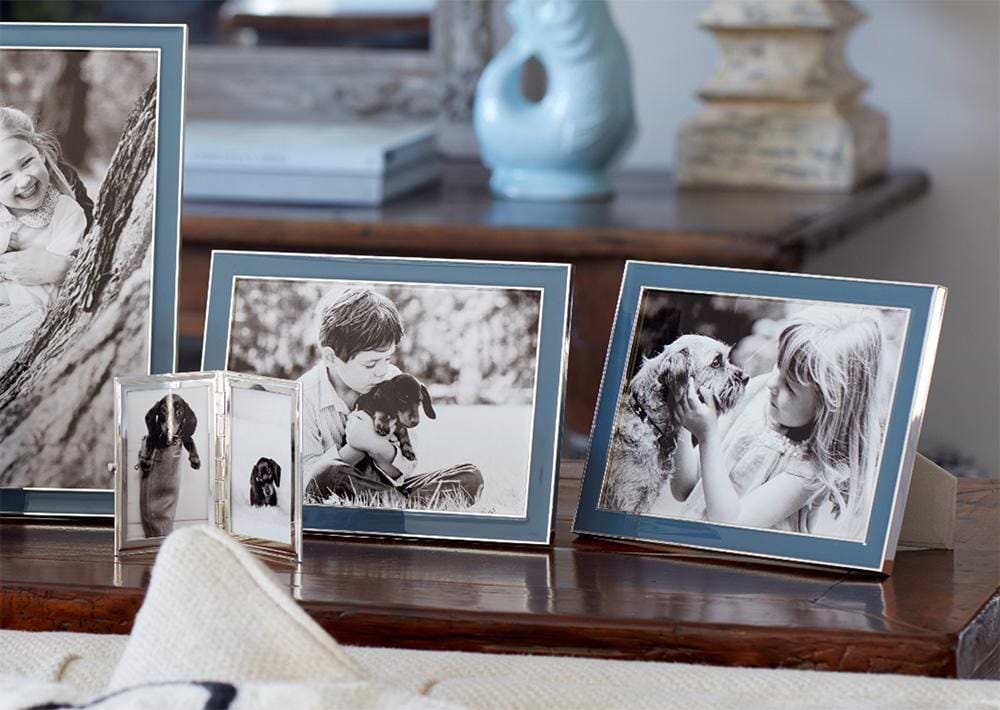The Dog Blog | 9 Tips for Taking Swoon Worthy Shots of your Dog - Addison Ross Ltd UK