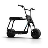 Antic Bike