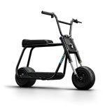 Antic Bike