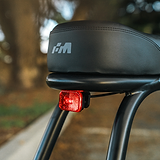 Tail Light Kit