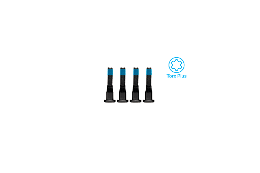 Antic Motor Bolts