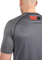 Performance T-Shirt - Gray