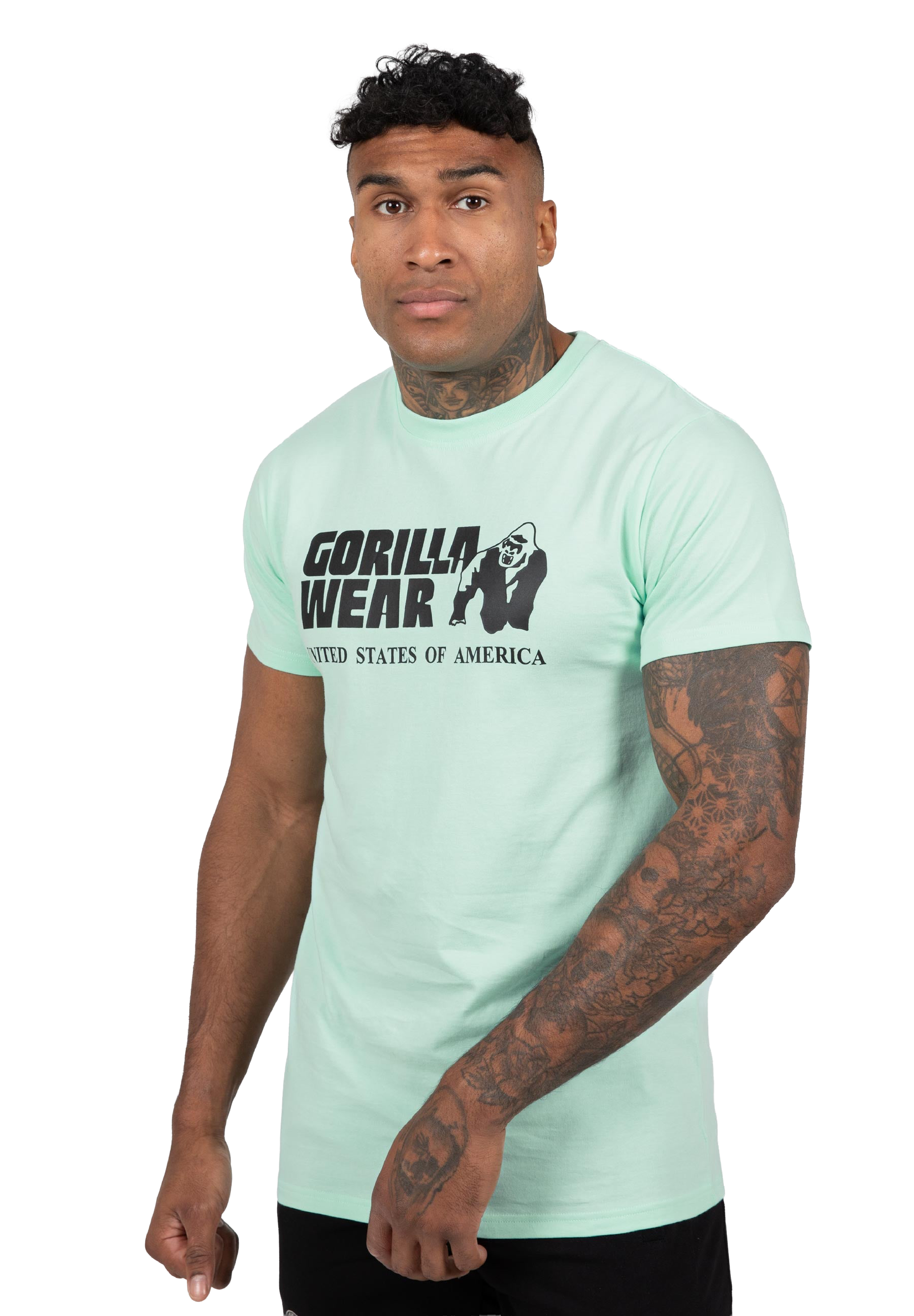 Classic T-Shirt - Mint