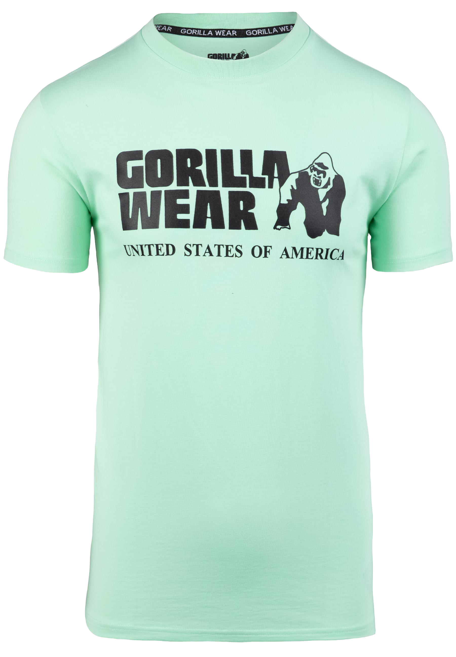Classic T-Shirt - Mint