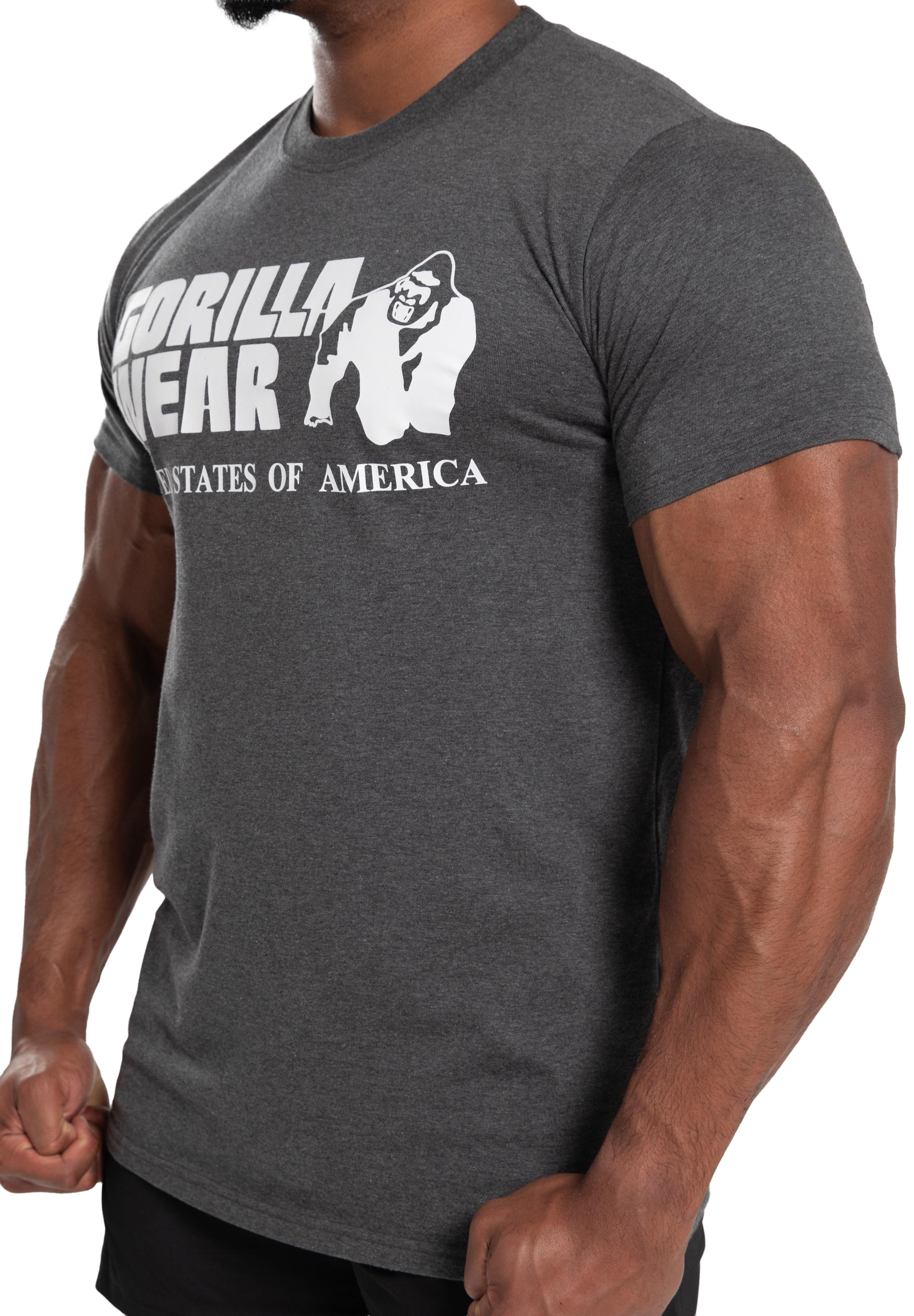 Classic T-Shirt - Gray