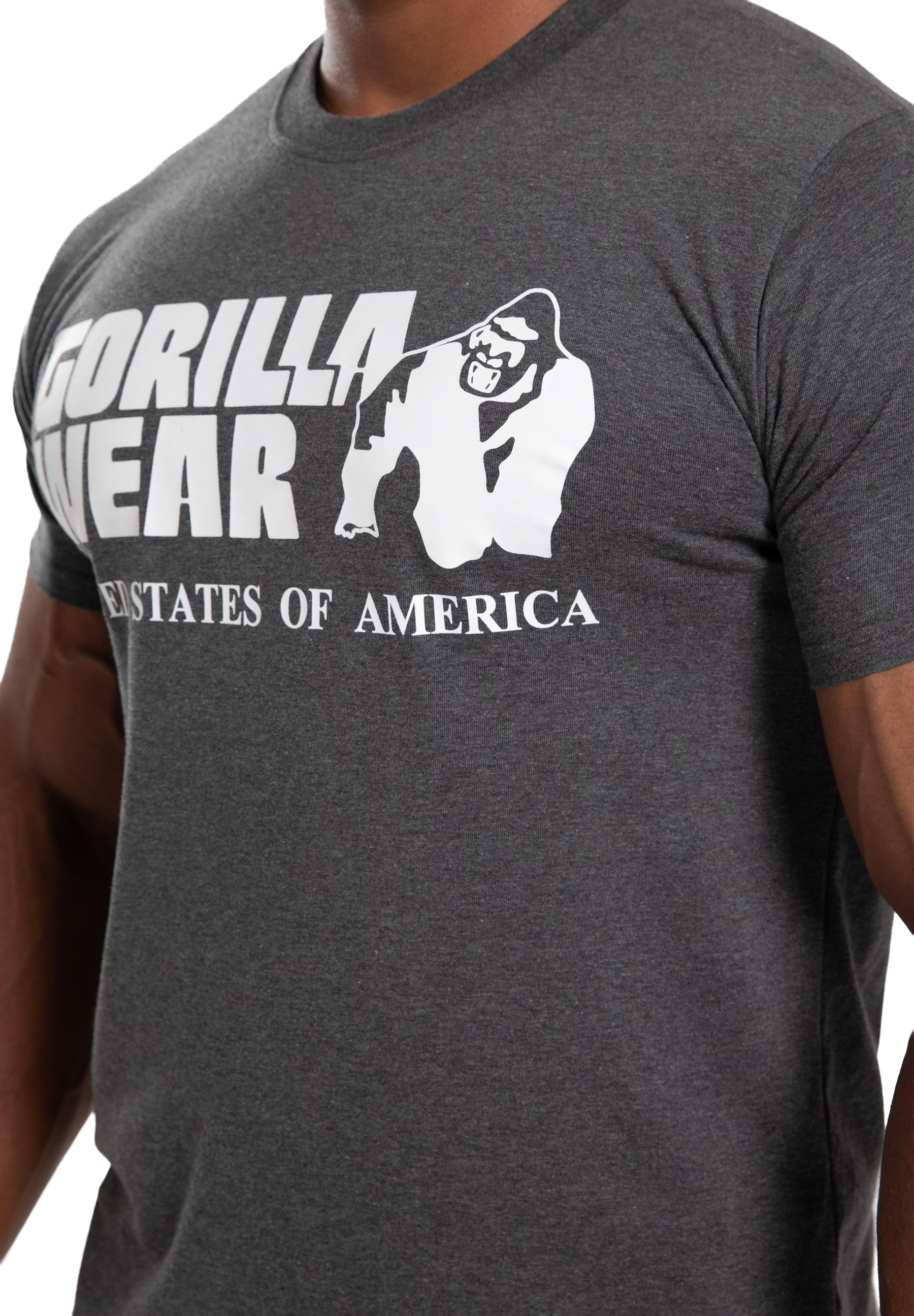 Classic T-Shirt - Gray