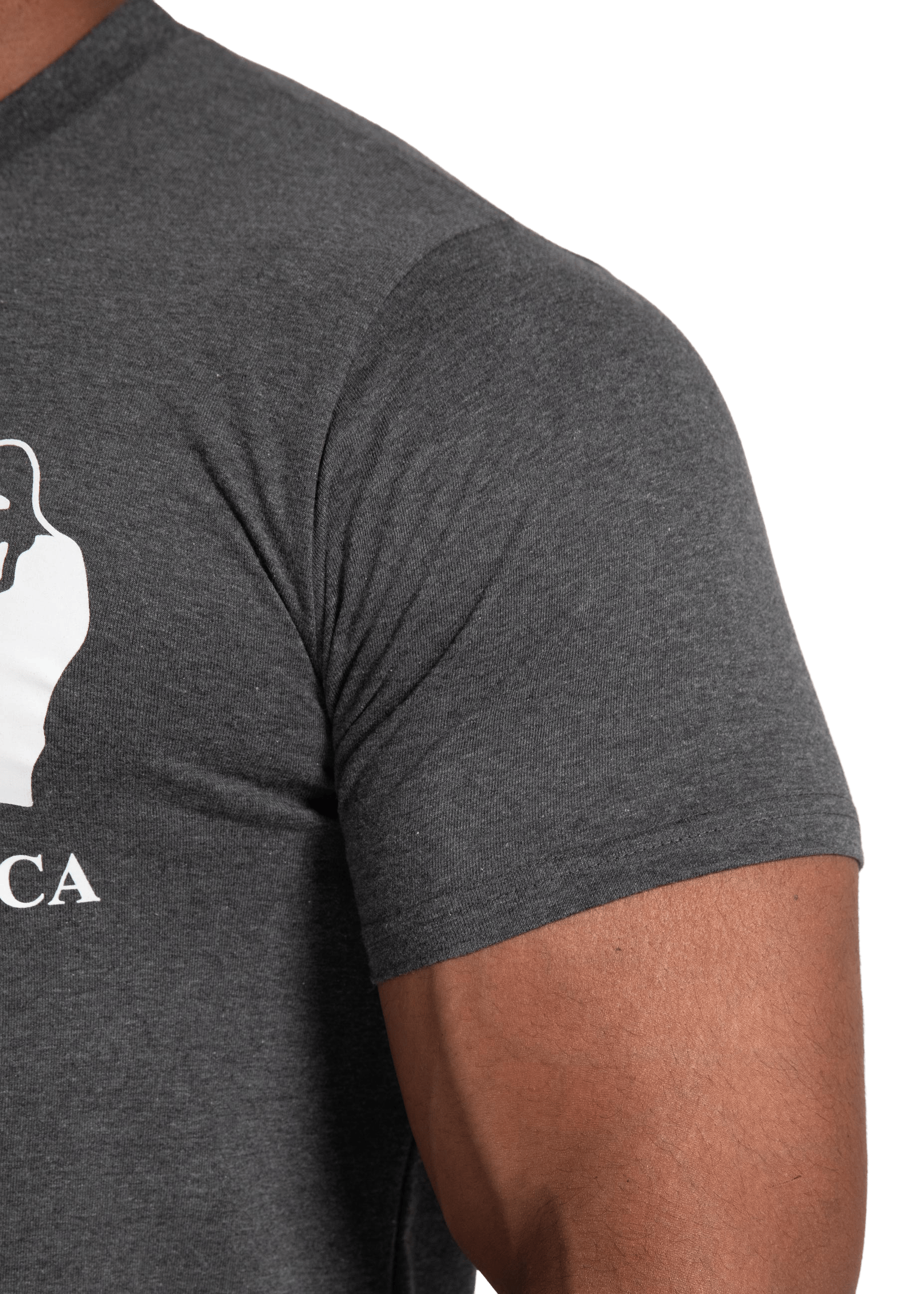 Classic T-Shirt - Gray