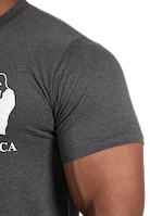 Classic T-Shirt - Gray
