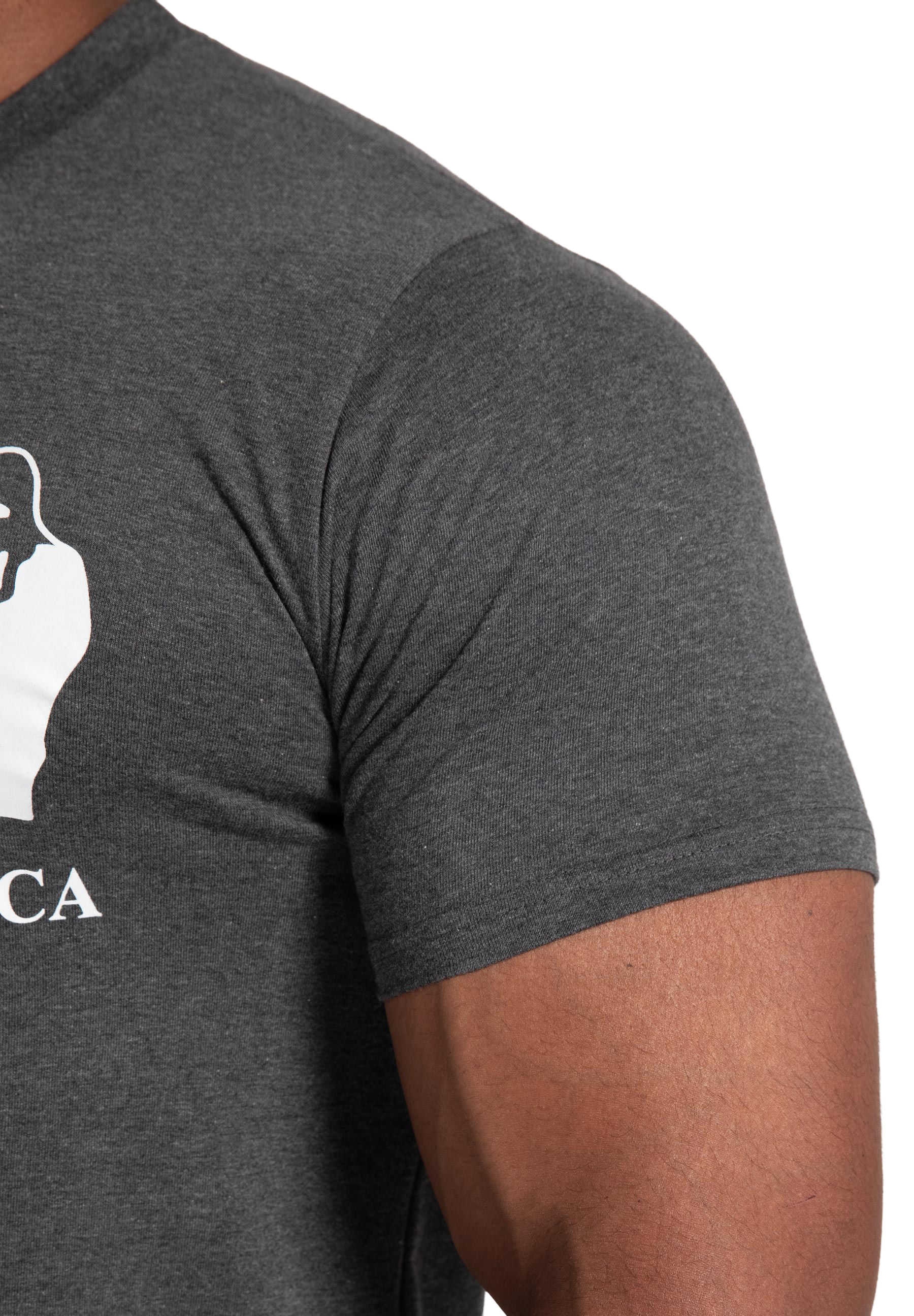 Classic T-Shirt - Gray