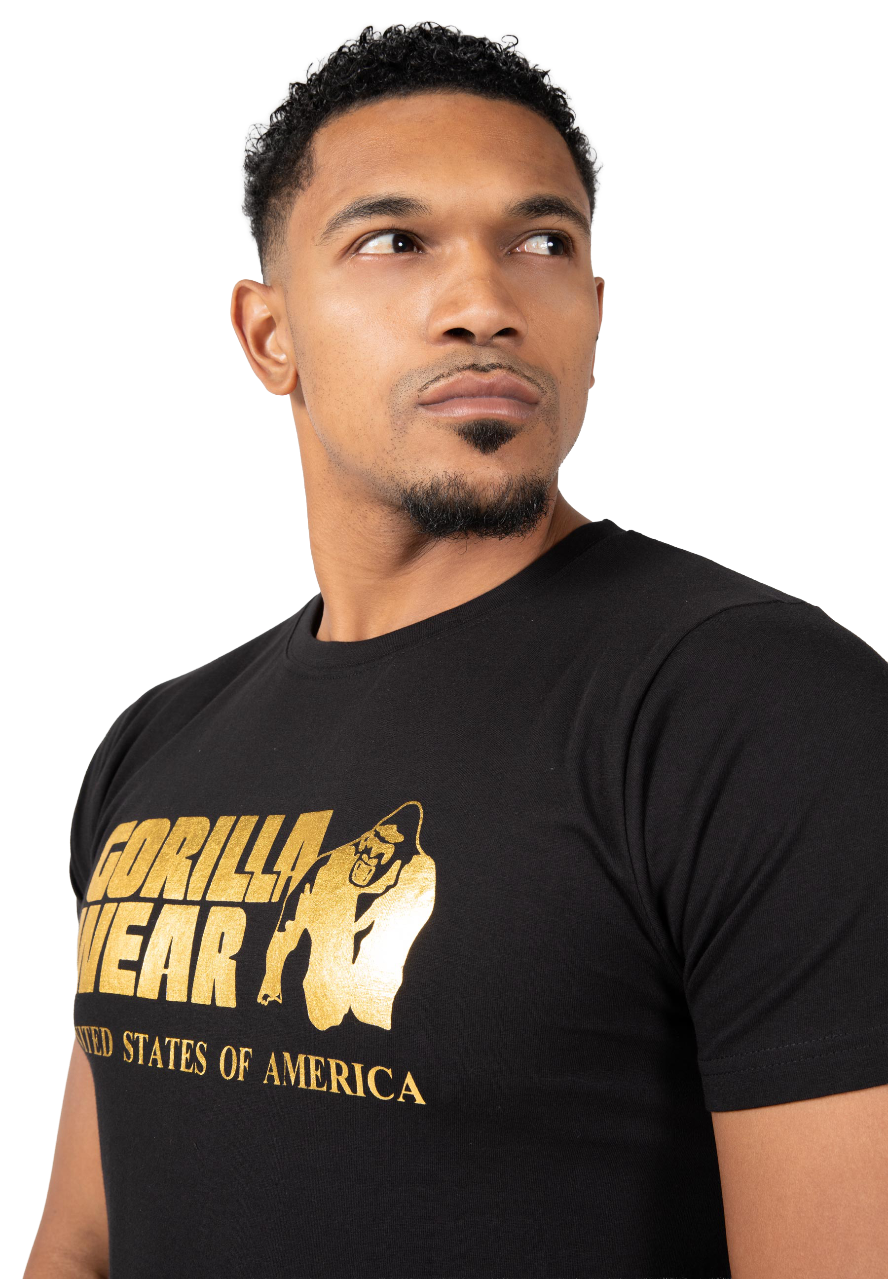 Classic T-shirt - Black/Gold