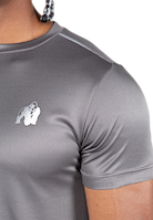 Washington T-Shirt - Gray