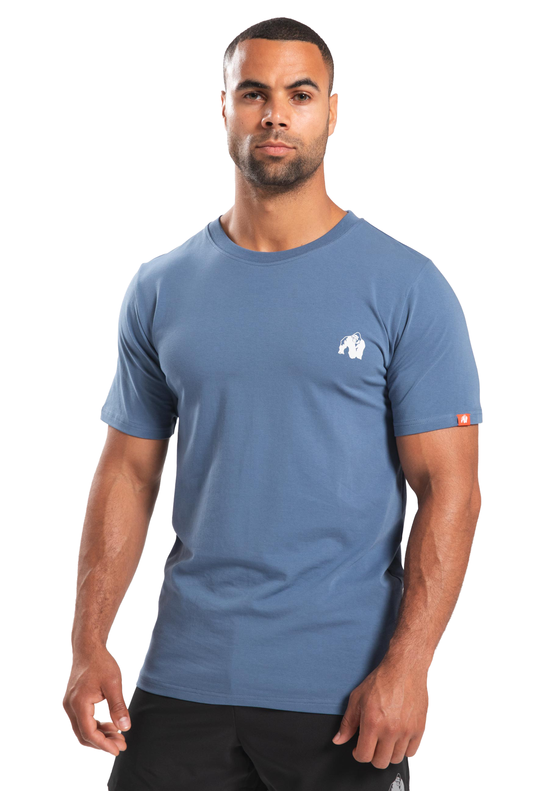 Warren T-Shirt - Cornet Blue