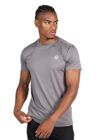 Easton T-Shirt - Gray