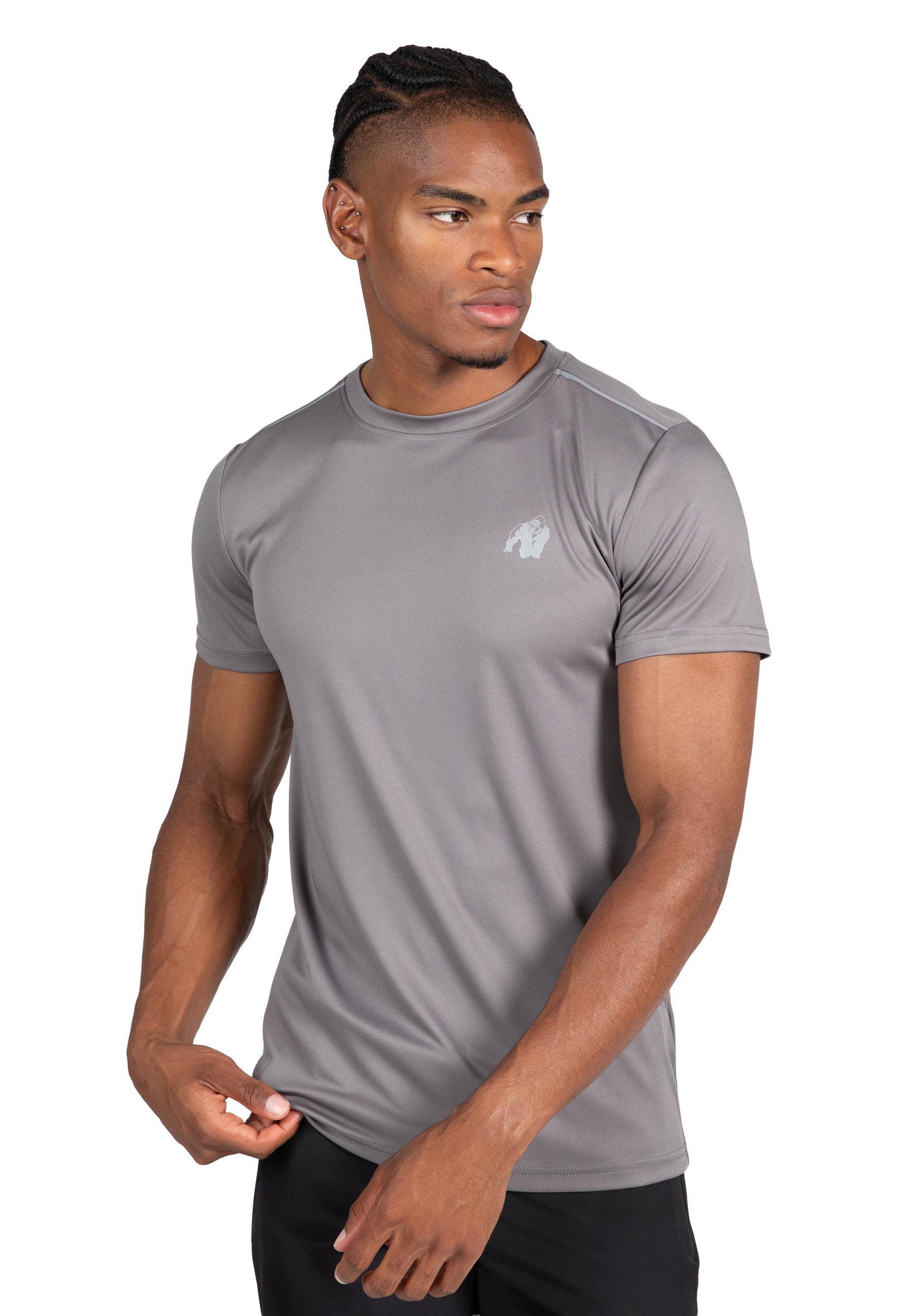 Easton T-Shirt - Gray
