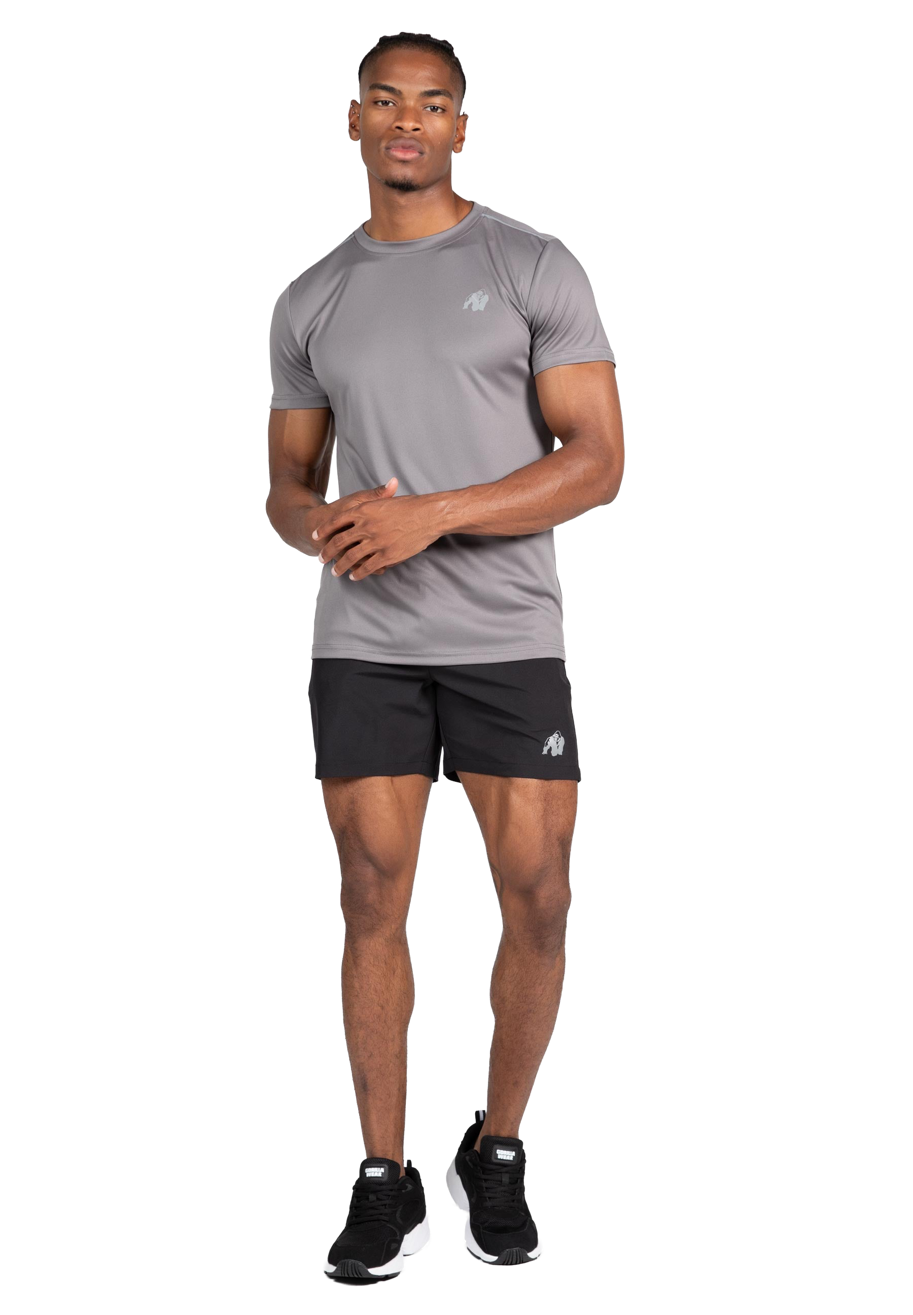 Easton T-Shirt - Gray
