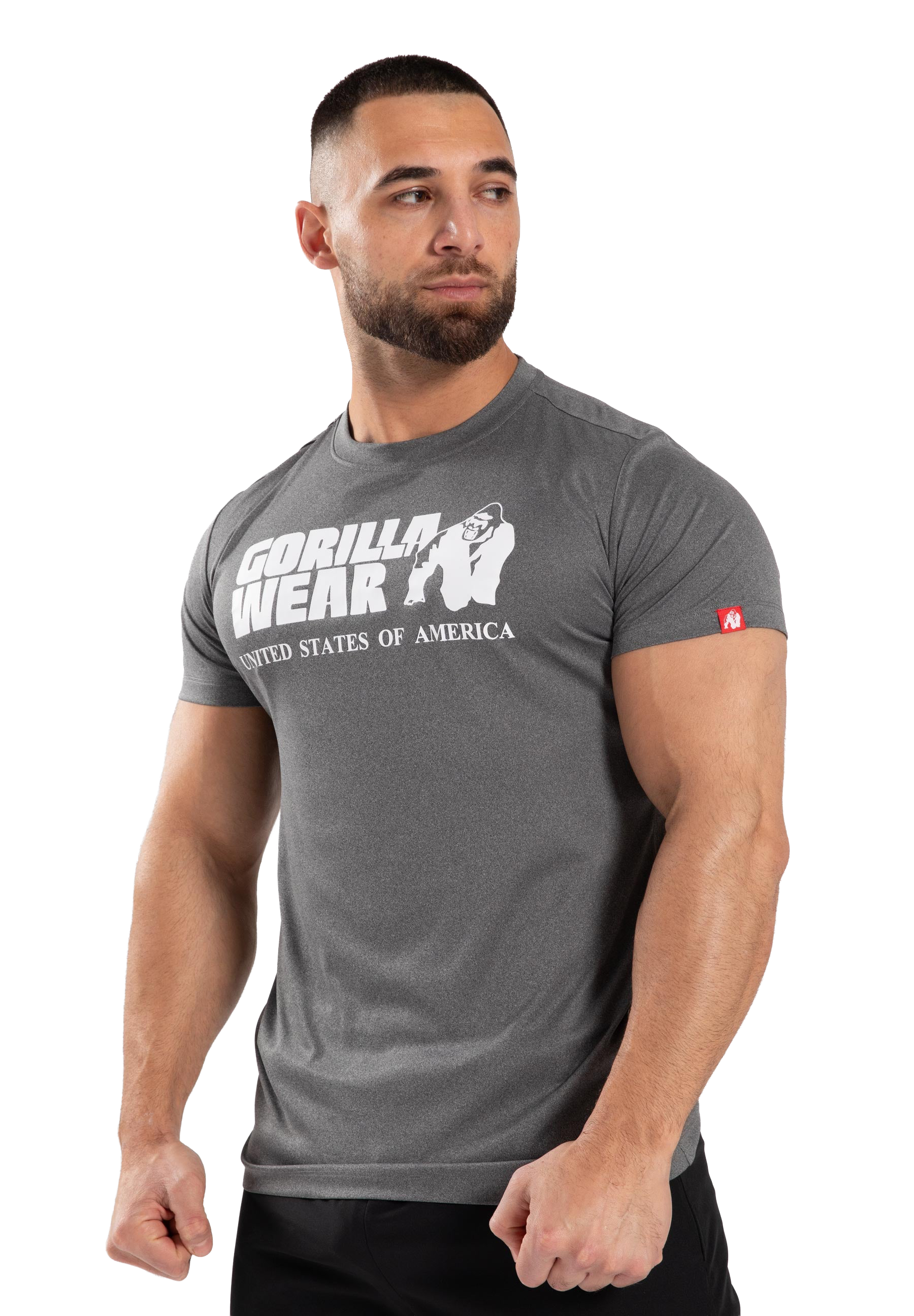 Classic Training T-Shirt - Gray Melange
