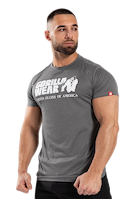 Classic Training T-Shirt - Gray Melange