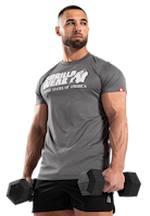 Classic Training T-Shirt - Gray Melange