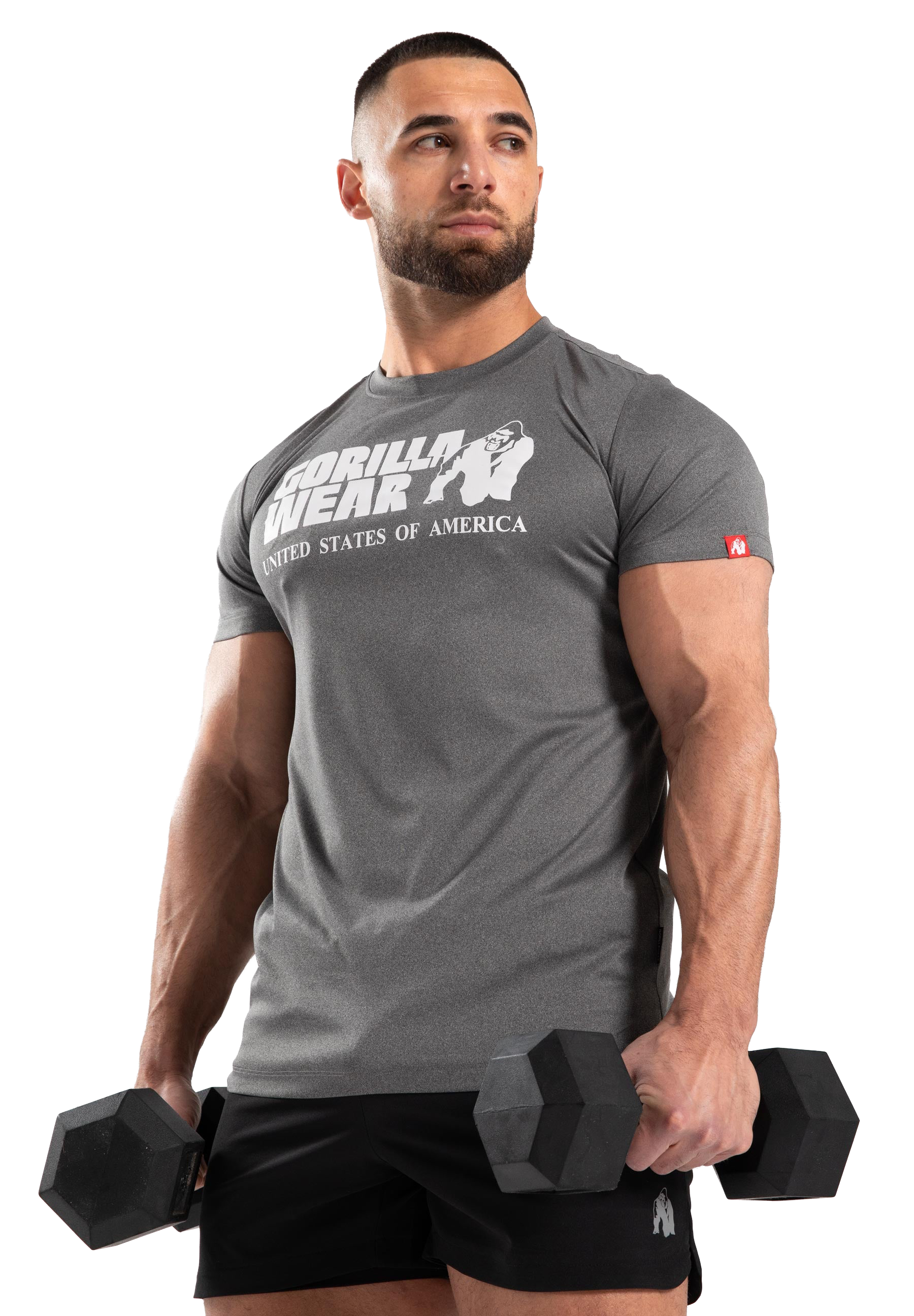 Classic Training T-Shirt - Gray Melange