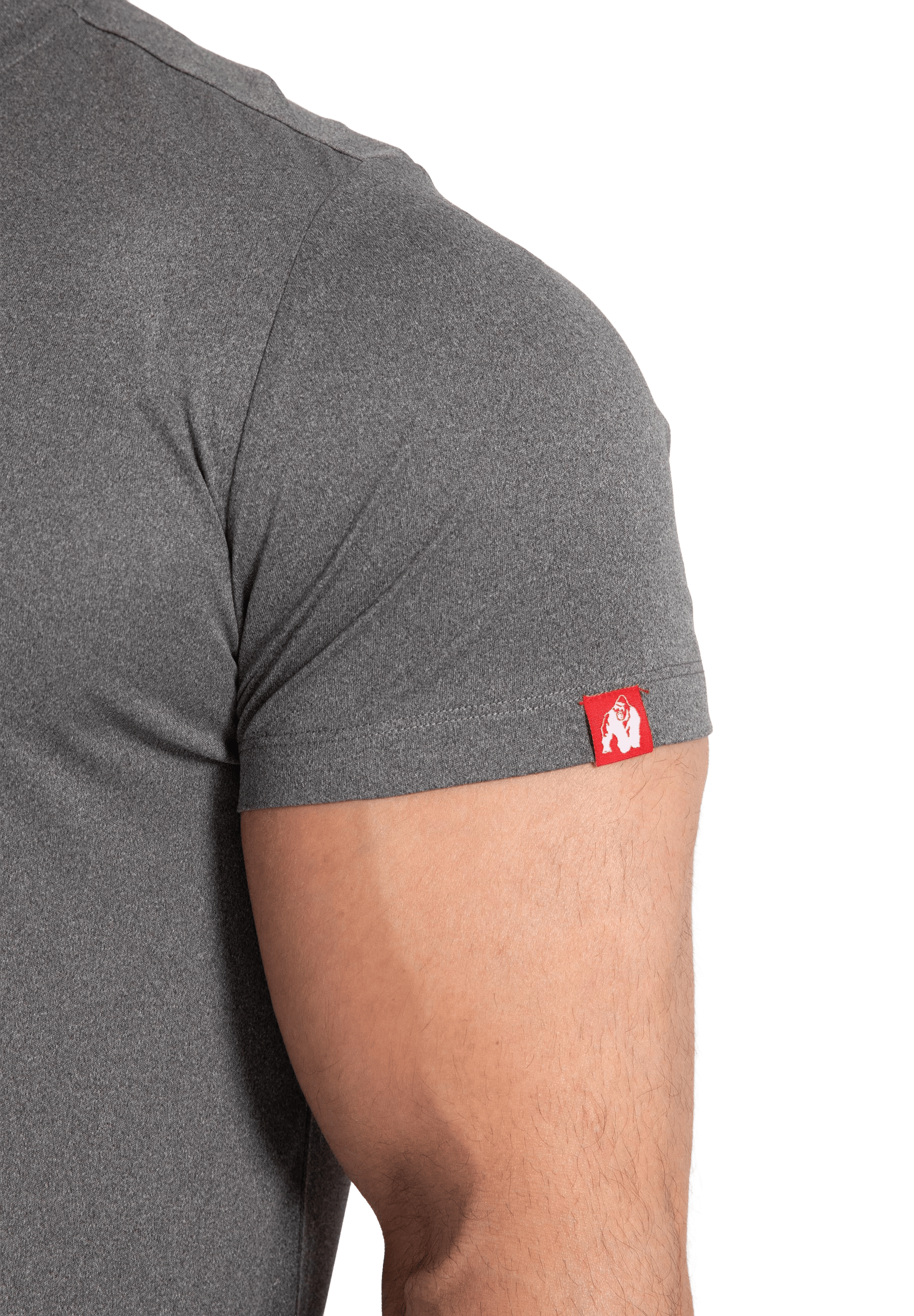 Classic Training T-Shirt - Gray Melange