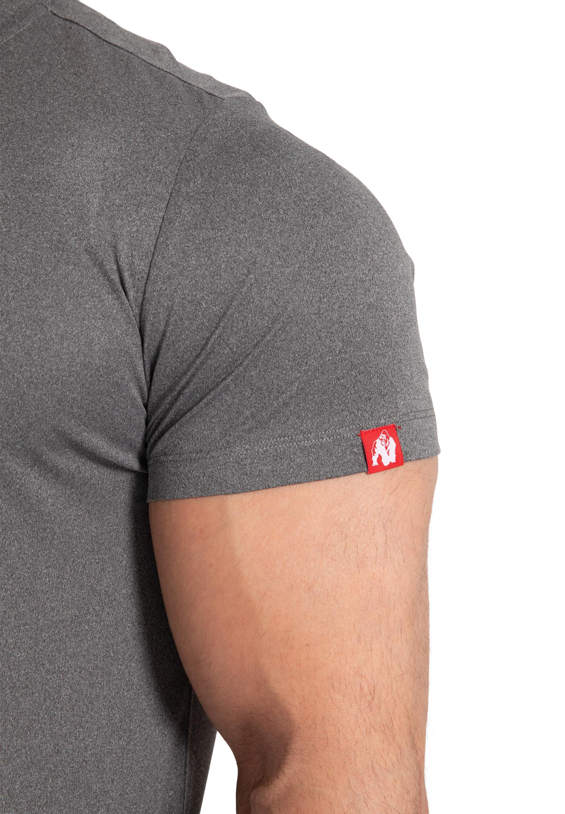 Classic Training T-Shirt - Gray Melange