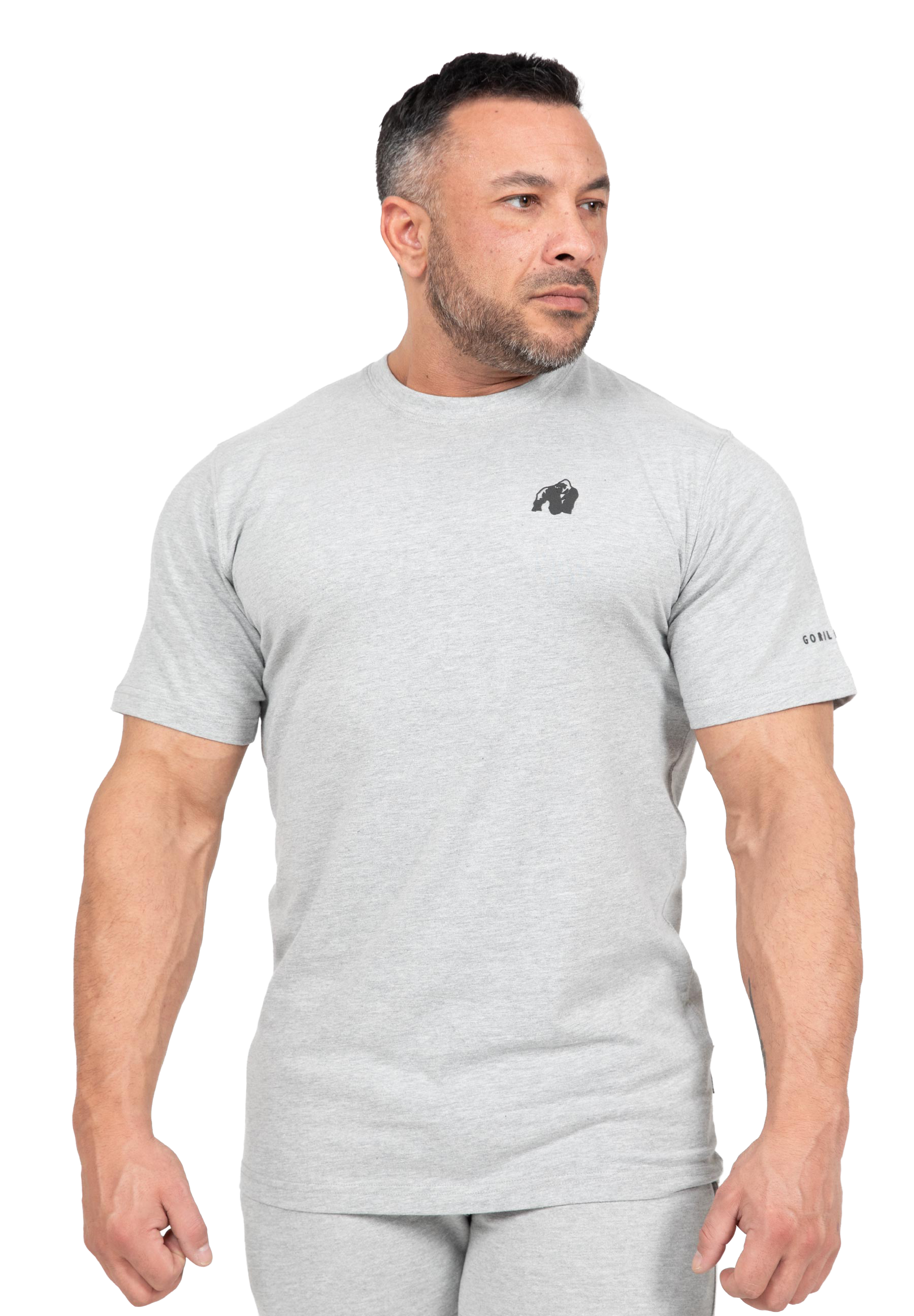 Leon T-Shirt - Gray
