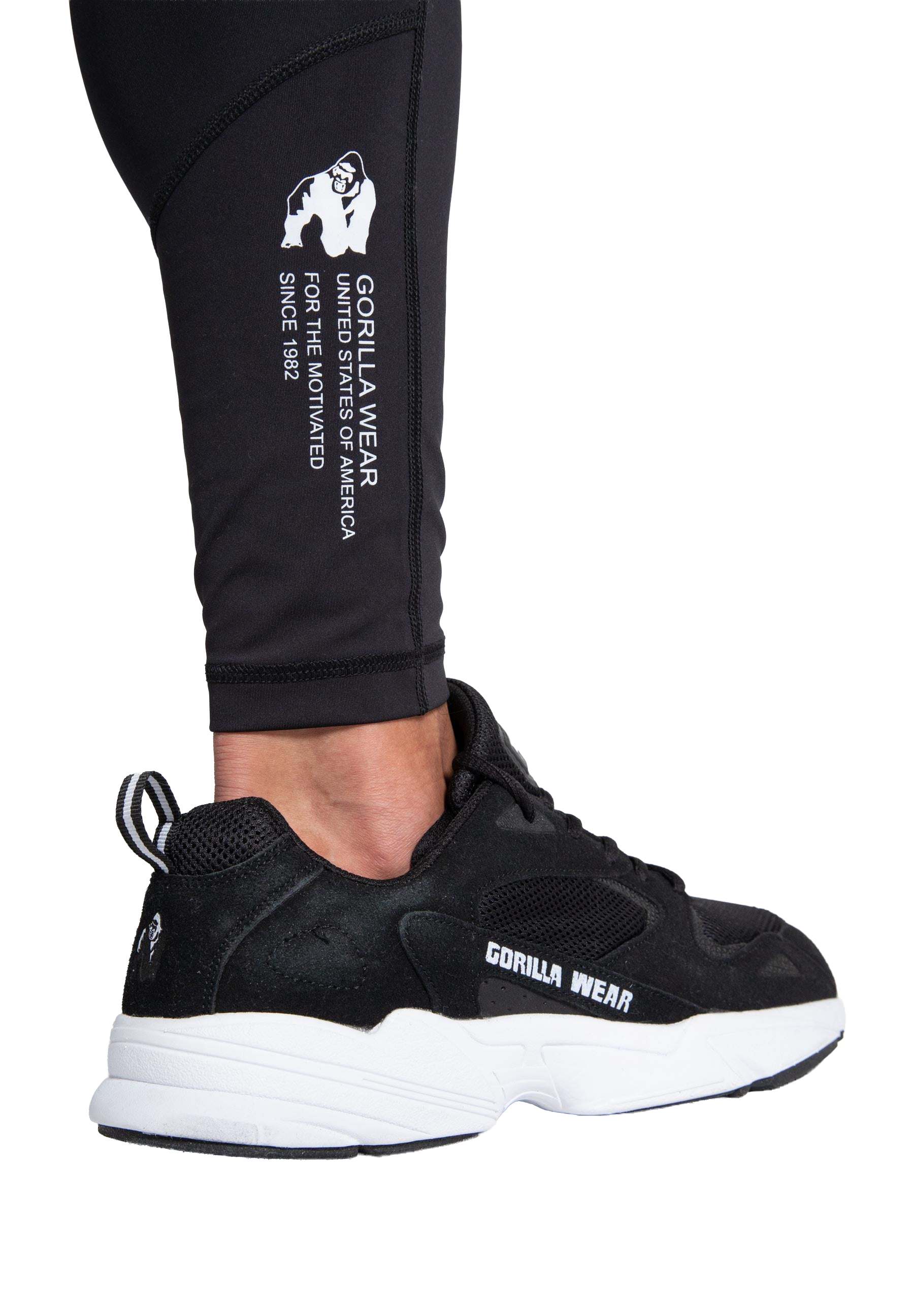 Winchester Men's Tights - Black