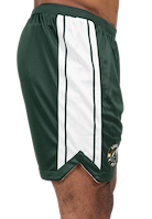 Orlando Shorts - Green