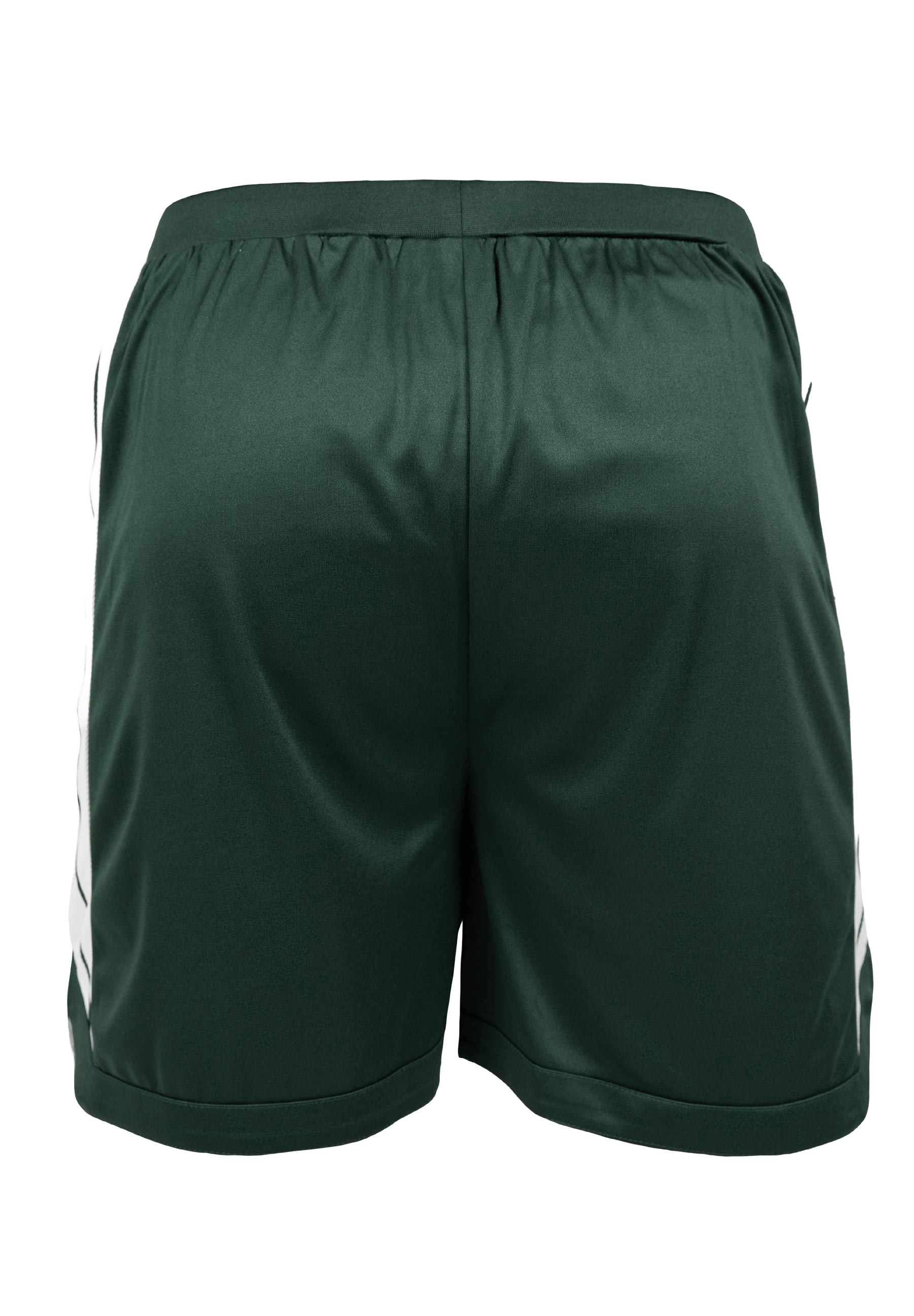 Orlando Shorts - Green