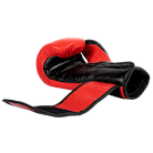 Ashton Pro Boxing Gloves - Red/Black
