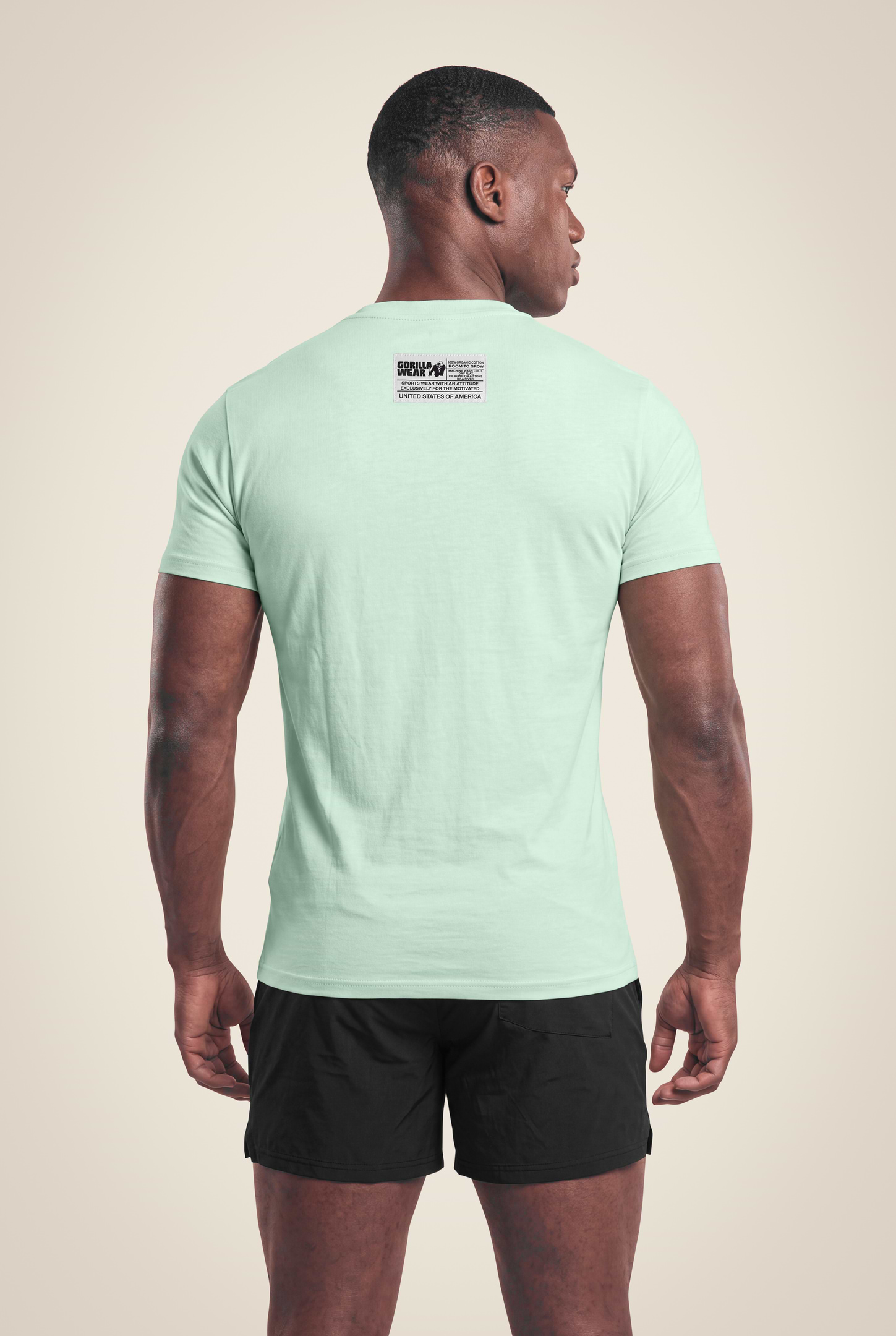 Gorilla Wear Classic T-Shirt T-Shirt & Tops Mint