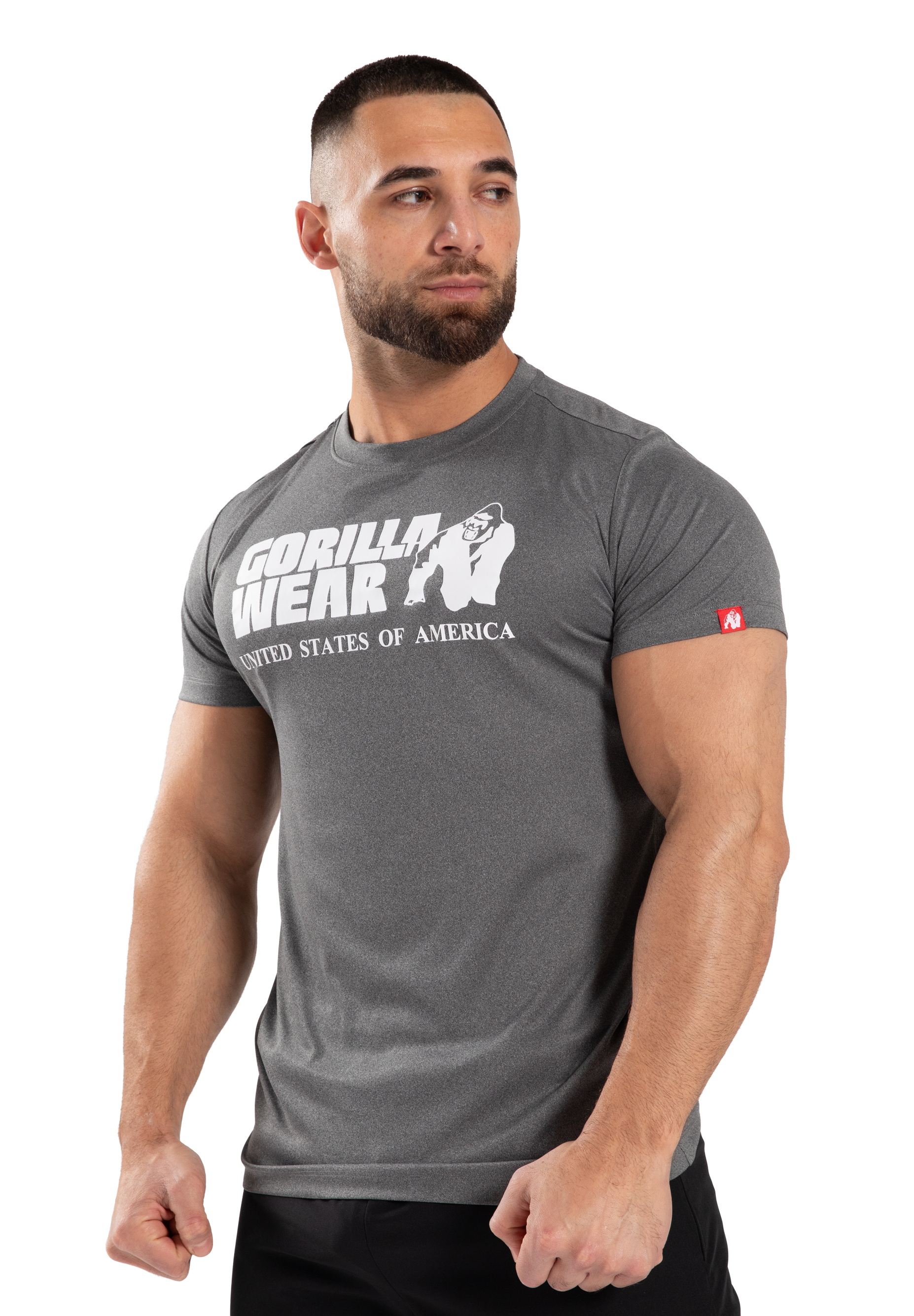 Gorilla Wear Classic Training T-Shirt T-Shirt & Tops Gray Melange