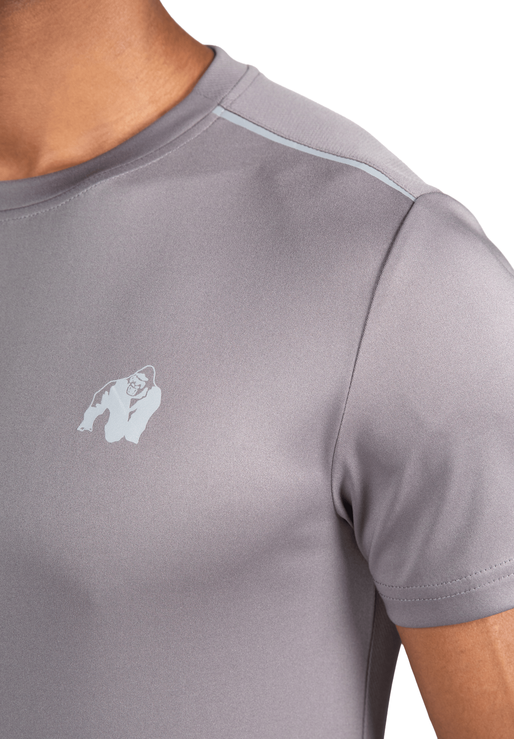 Gorilla Wear Easton T-Shirt T-Shirt & Tops Gray