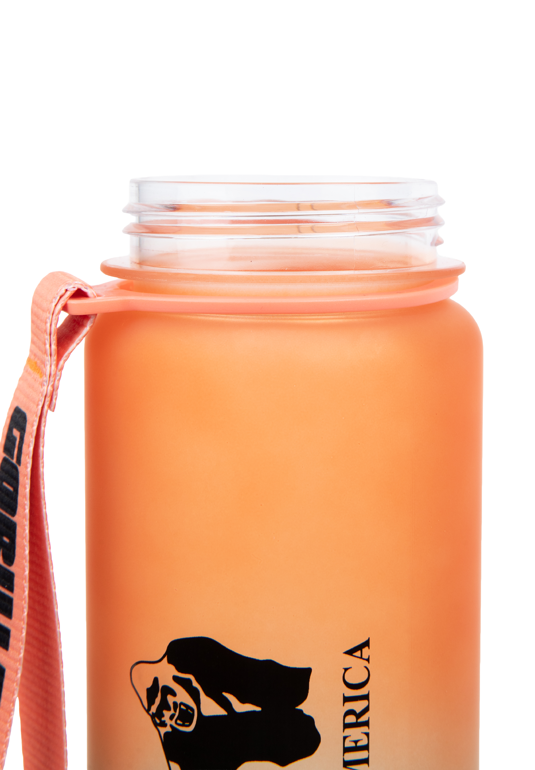 Gorilla Wear Gradient Water Bottle 1000ML Shakers & Bottles Green/Orange