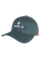 Gorilla Wear Hays Flexfit Cap Caps & Beanies Petrol