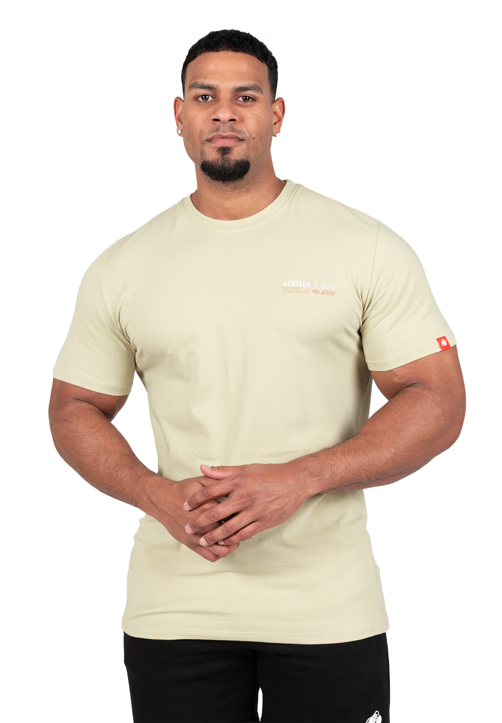 Gorilla Wear Santa Cruz T-Shirt T-Shirt & Tops Light Green