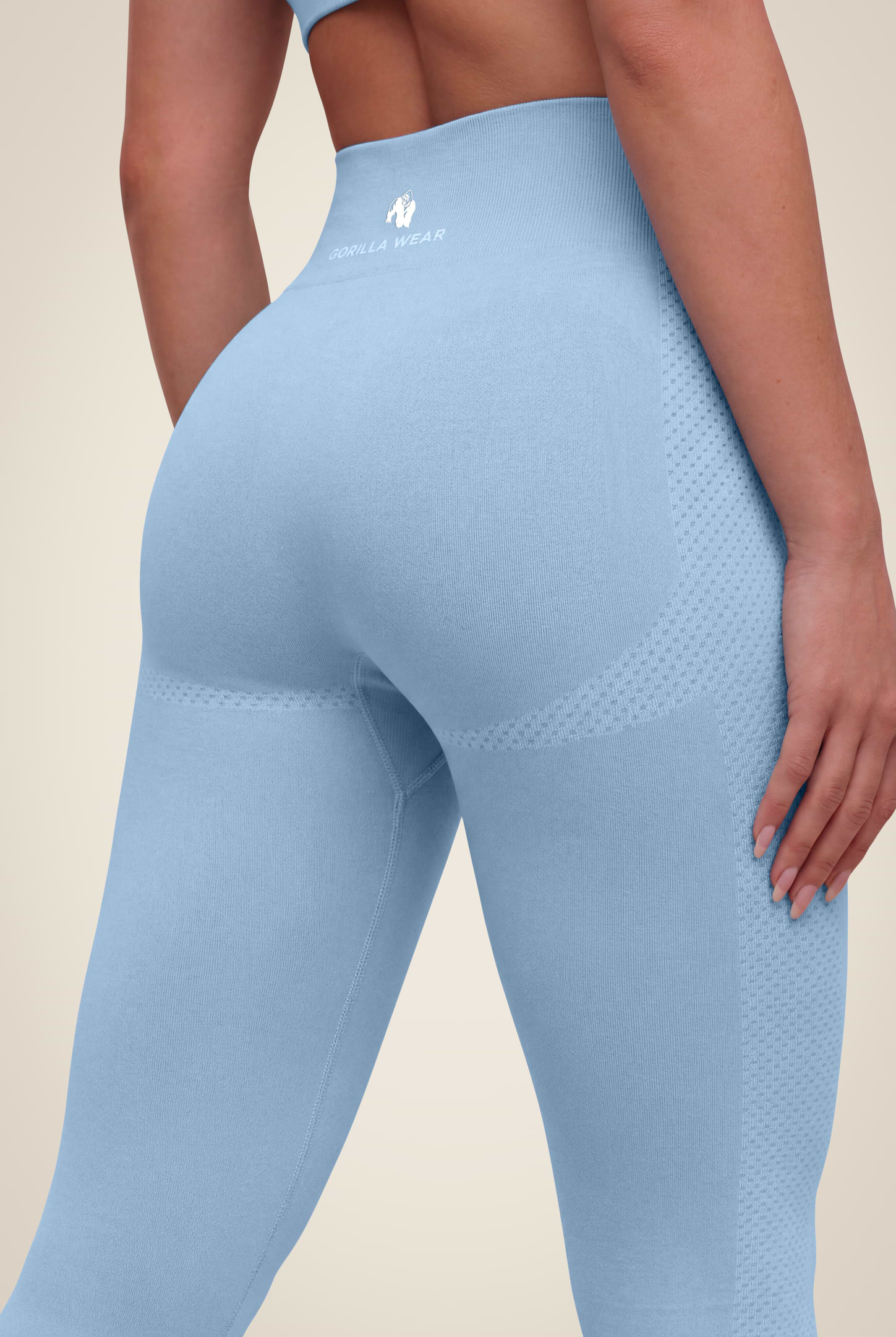 Gorilla Wear Selah Seamless Leggings Leggings Light Blue