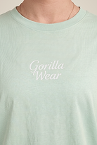 Gorilla Wear Vienna Oversized T-Shirt T-Shirt & Tops Light Green