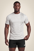 Gorilla Wear Westley T-Shirt T-Shirt & Tops Light Gray