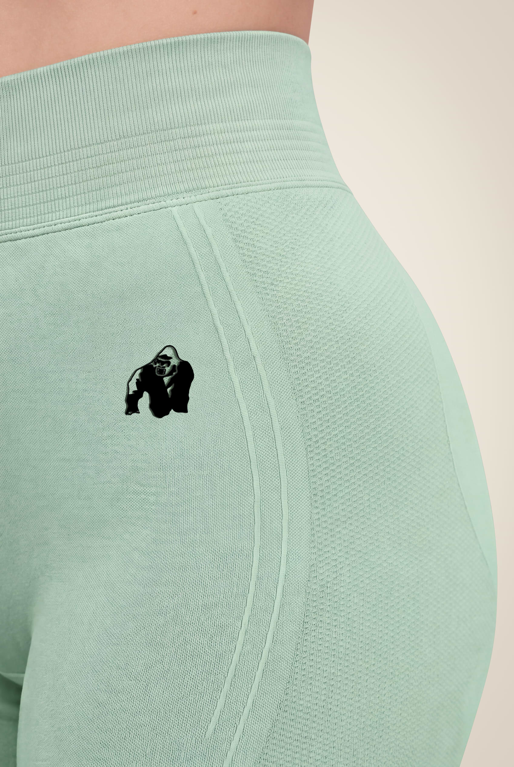 Gorilla Wear Whitney Seamless Leggings Leggings Green