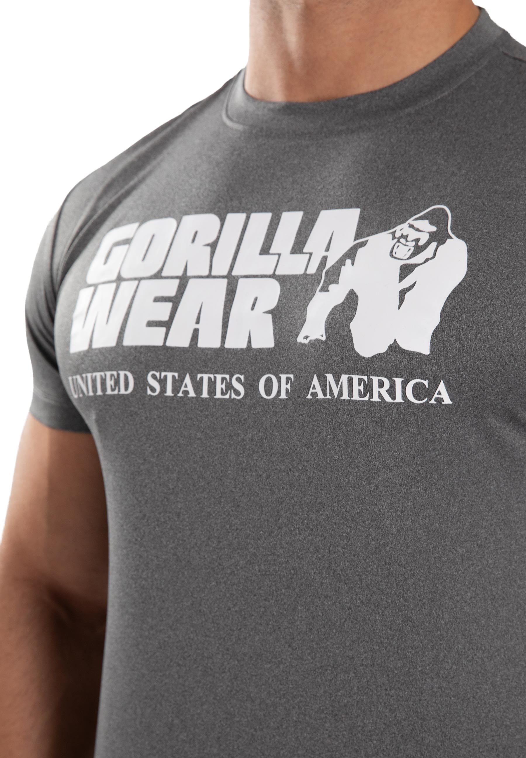 Classic Training T-Shirt - Gray Melange