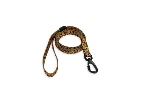 Onewheel Dog Leash