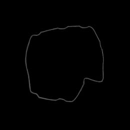 Pint (X) Controller Module Gasket
