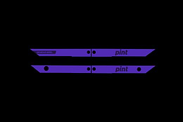Rail Guards Pint