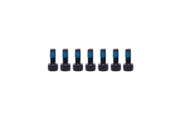 Motor Bell Screws
