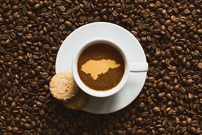 Twenty-Fourth Ave - Espresso Blend - Ground - Medium (Drip) / 12 oz (About 24 Cups) | Ember Coffee & Tea