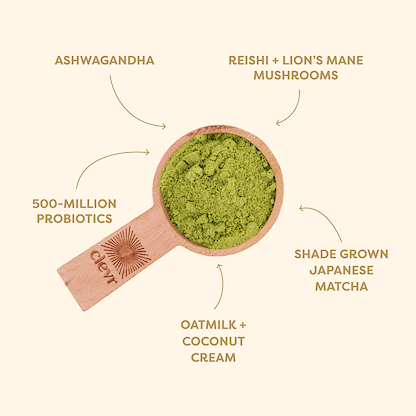 Matcha SuperLatte - 30 Lattes | Ember Coffee & Tea