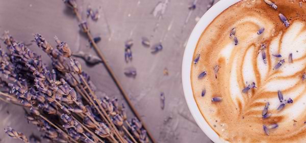 Lavender Honey Latte