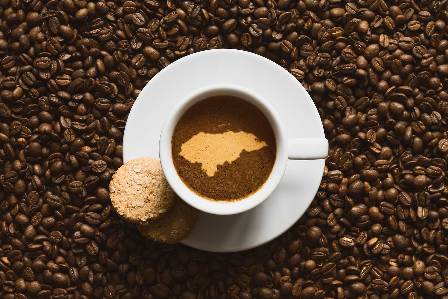 Twenty-Fourth Ave - Espresso Blend - Ground - Medium (Drip) / 12 oz (About 24 Cups) | Ember Coffee & Tea