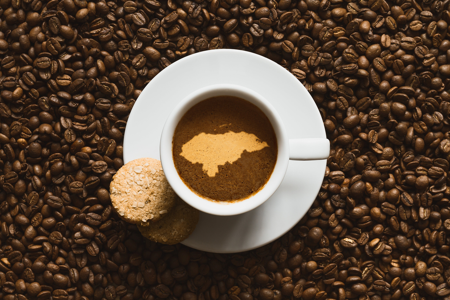 Twenty-Fourth Ave - Espresso Blend - Ground - Medium (Drip) / 12 oz (About 24 Cups) | Ember Coffee & Tea
